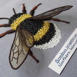 Motif de broderie bourdon cryptique Téléchargement instantané PDF