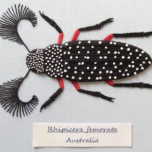 Feather Horned Beetle Embroidery Pattern Instant Download PDF