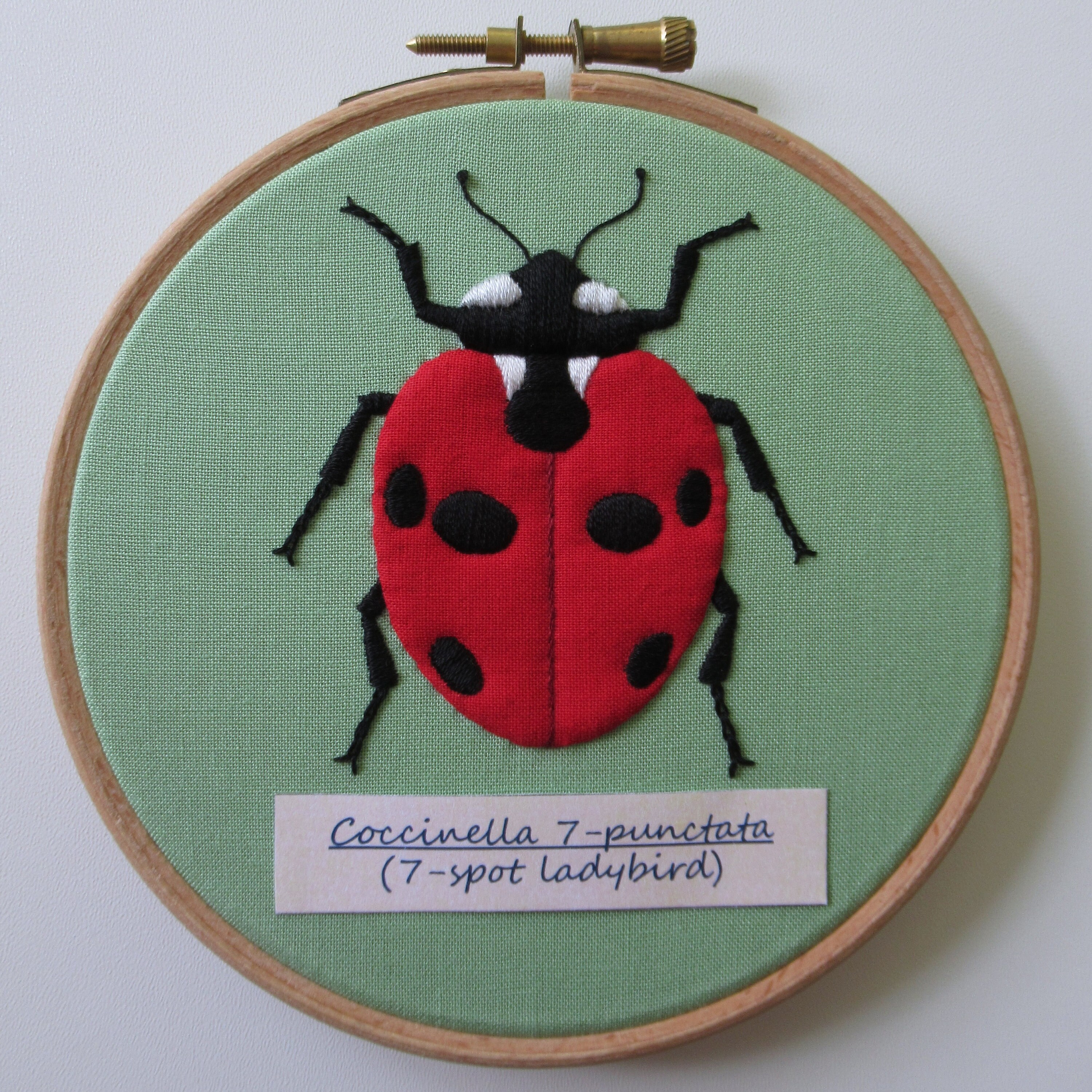 7 Spot Ladybird Embroidery Pattern Instant Download PDF - Etsy