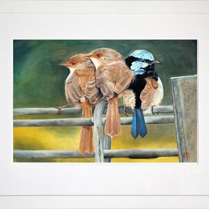 Wren family three birds on fence unframed archival print