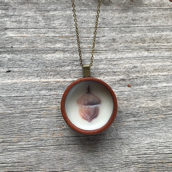 Encaustic photography pendant jewelry. Acorn. Wood pendant with antique brass loop and chain.