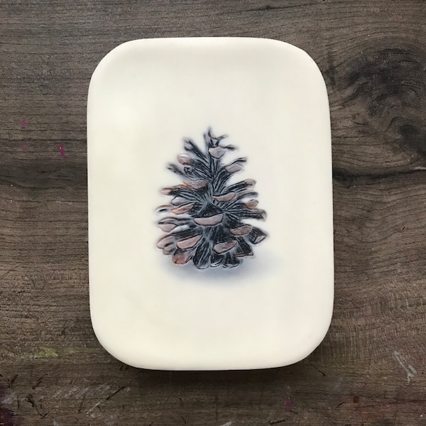 Pinecone. Encaustic photography.