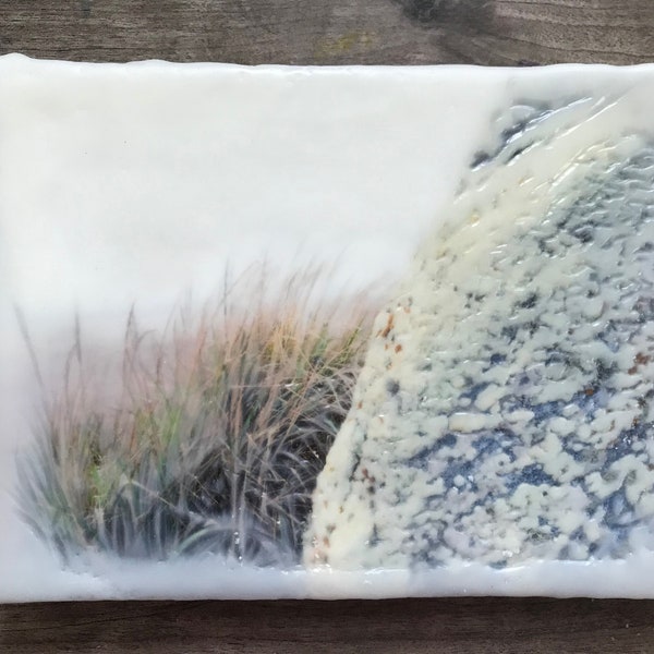 Lichen Rock. Original encaustic wall art. Encaustic Photography on wood. Point Reyes, California. Tomales Point. 5x7