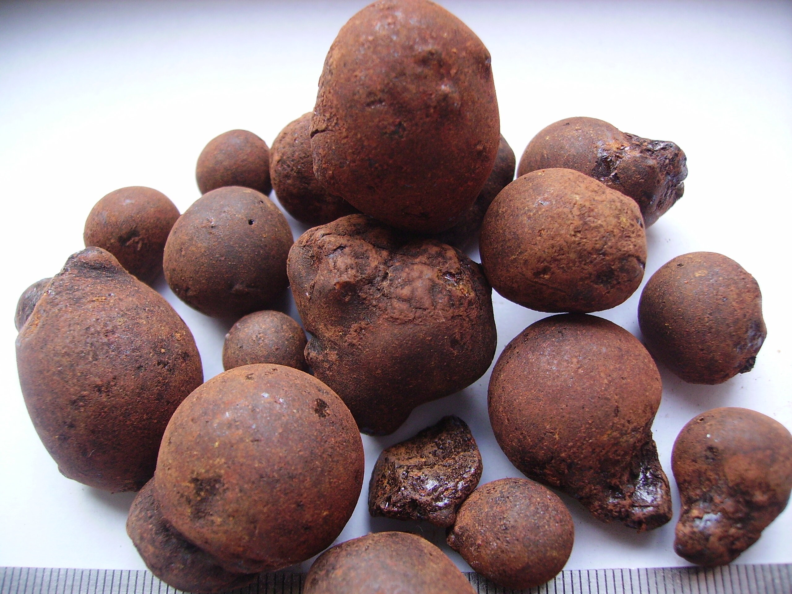 Xanthorrhoea incense resin Australian Grass tree resin Etsy