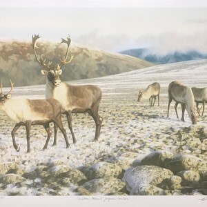 Claudio D'Angelo 'Caribou, Mount Jacques Cartier' - Hand Signed Print - Others Available - GallArt