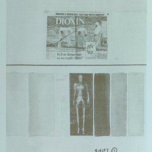 May include: A black and white image of a human skeleton with the text "SYSTEM" above it. The image is part of a larger image with a newspaper clipping about dioxin and a series of gray and white rectangles.