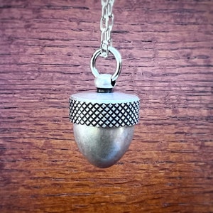 Manifestation Talisman Intention Capsule Necklace with Custom Personalized Quote, Wear Your Wishes Near Your Heart, in Antiqued Silver Acorn image 9