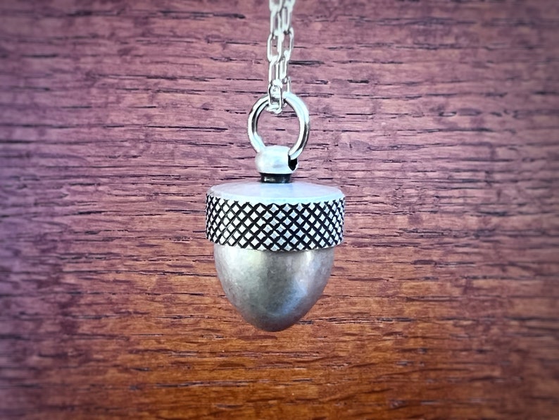 Manifestation Talisman Intention Capsule Necklace with Custom Personalized Quote, Wear Your Wishes Near Your Heart, in Antiqued Silver Acorn image 9