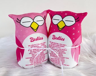 Besties Owls - Qty 2 - Pink - Best Friends Gift with Inspirational Poem - Celebrate friendship - BFF Plush - B12