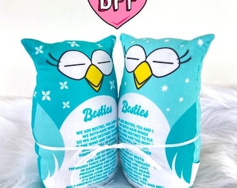 Long Distance Best Friend Gift Set, Besties BFF Stuffed Owls in Pink or Teal Celebrate Friendship, Cute Belly Poem about Friendship Cuddly