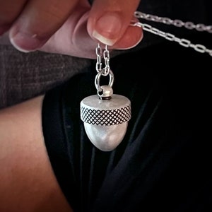 We’re Made of Star Stuff Custom Personalized Quote Locket Necklace, We are Stardust Amulet in Antiqued Silver, Secret Message Stash Acorn