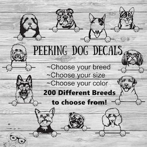 May include: A digital illustration of various dog breeds peeking over a wooden fence. The text reads "PEEKING DOG DECALS", "~Choose your breed", "~Choose your size", "~Choose your color", "200 Different Breeds to choose from!" and "Nerdy Noodle".