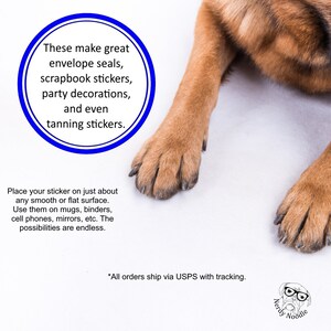 Raccoon Stickers, Raccoon Planner Stickers, Raccoon Tanning Stickers