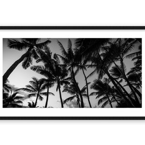 Palmen Party, schwarz weiß Fine Art Print, Maui Hawaii, Wanddekor, Tropisches Dekor, Fotografie, Hawaiianische Palmen, Wanddekor
