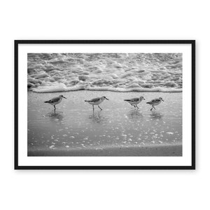 Black White Beach Birds (Fab Four) Decor Modern Minimalist Large Printable Poster Wall Art Prints Ocean Beach