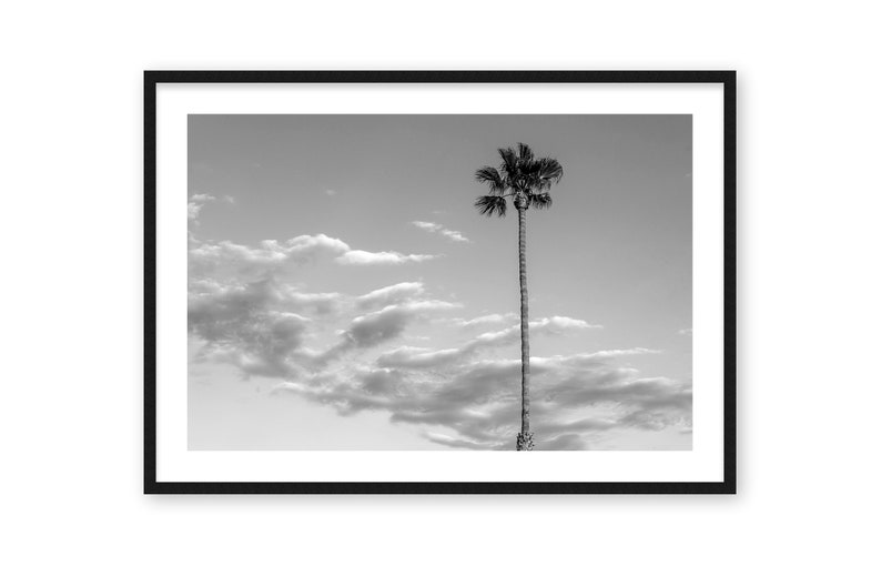 Palm Tree With Clouds, Minimal Black and White Print, San Clemente