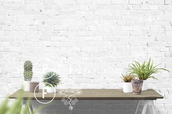 White Wall Mockup Plants Gardening Background Outdoor Wall Garden
