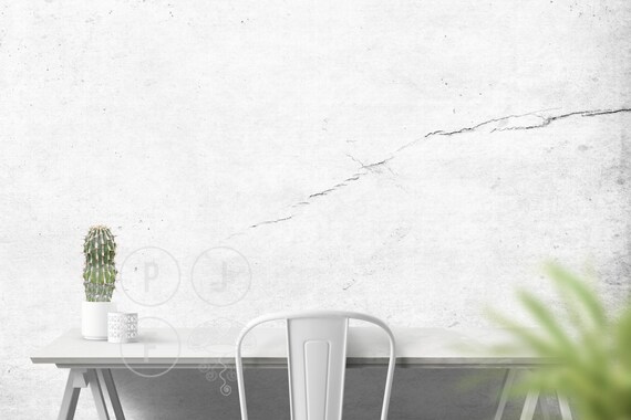 Blank Wall Mockup Blog Background Cactus White Wall Mockup