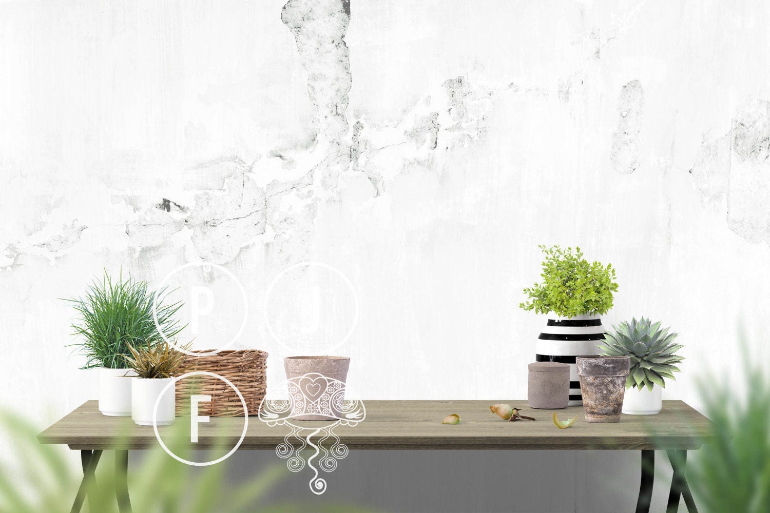 Download Blank wall mockup outdoor room mockup wall mockup green | Etsy