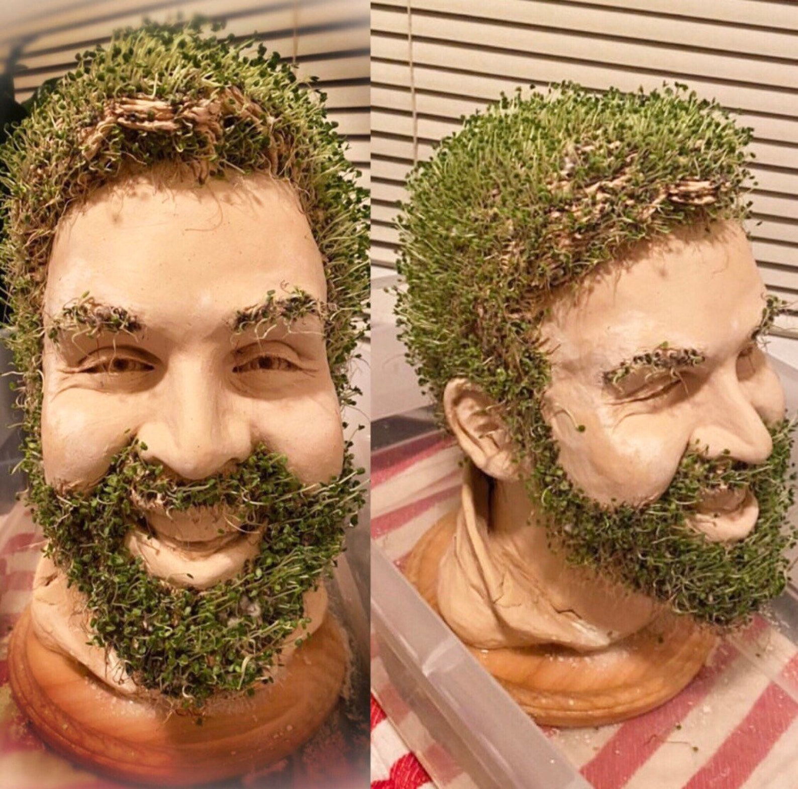 Custom Chia Pet Bust Etsy