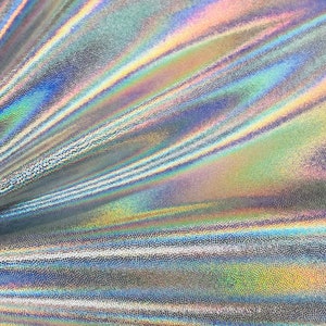 Flashbulb Holographic Zipper Front Ruffle Rump - Etsy
