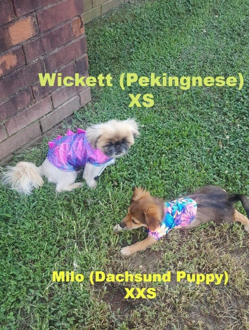 Emerald Green Dragon Scale Holographic Mermaid Pet Shirt Etsy