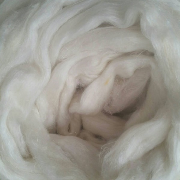 Silk Sliver 'Melaleuca' 100grams Creamy White Soft, Luxurious, Pulled/Carded Recycled Sari Silk Fibre for Fibre Arts: Spinning, Felting etc