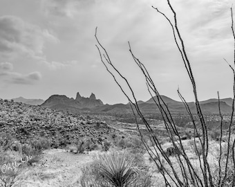 Mules Ears Fine Art Photography Black and White Big Bend Texas landscape high desert dramatic sky Western Ranch house chic Texana large art