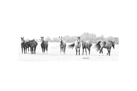 Chorus Line Fine Art Photography Western Black And White Etsy