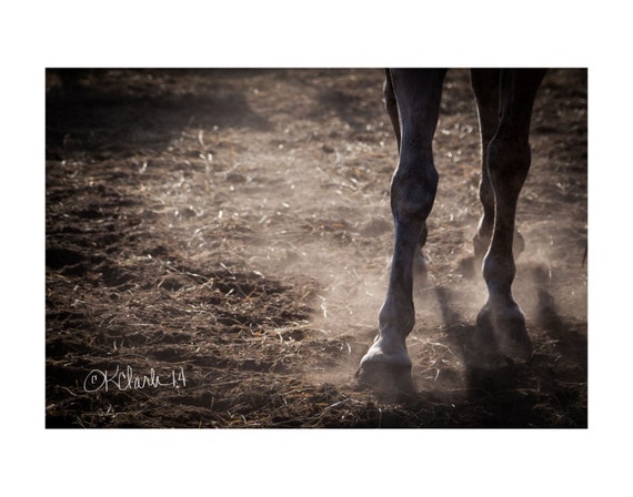 Bronco Fine Art Photography Western Horse Sepia Tones Rustic Etsy