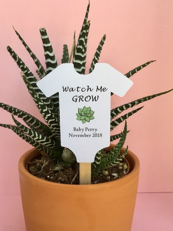 succulent plant baby shower favor