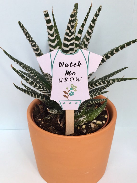 Watch Me Grow Tags Baby Shower Favor Tag