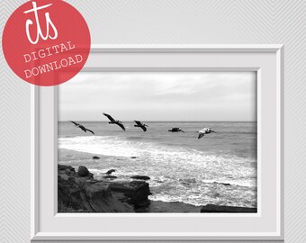 Pelicans Off of Point Loma in Black and White - Fine Art Print - Digital Download