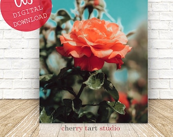 Retro Rose Garden - Digital Download - Shabby Chic - Cottage Art