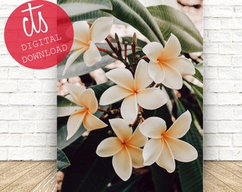 Pastel Plumerias - Digital Download - Retro Hawaiian Print