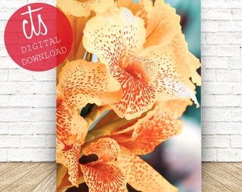 Yellow Orchids - Fine Art Print - Digital Download