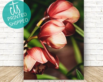 Copper Orchids - Fine Art Print