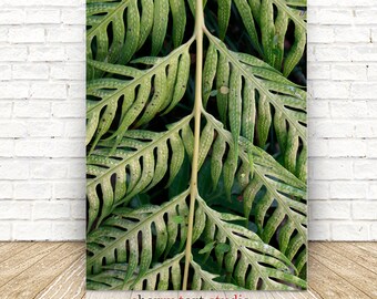 Tropical Fern Leaf Art - Fine Art Print - Digital Download