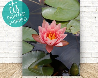 Peach Lotus In Water - Fine Art Print