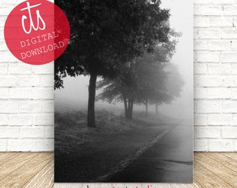 Foggy Trees in Black & White - Fine Art Print - Digital Download
