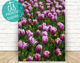 Purple Tulips - Fine Art Print