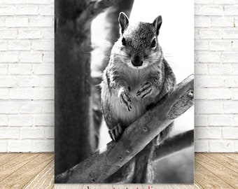 Squirrel in Black and White - Fine Art Print - Digital Download