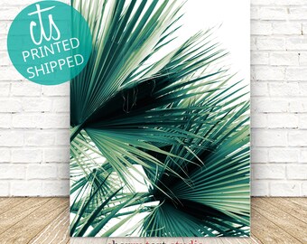 Palm Tree - Fine Art Print