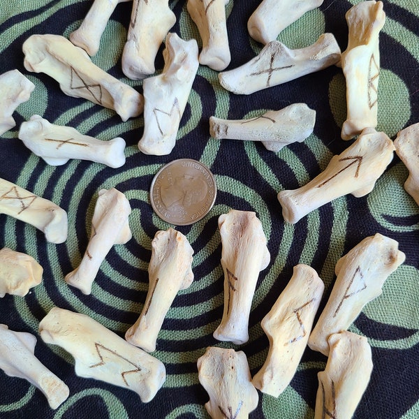 Elder Futhark Rune set of 25 . Burned onto Coyote heel bones. Black drawstring bag included.