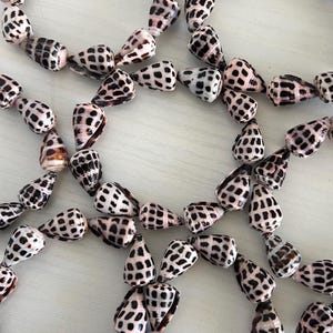 Peut inclure: Collier de coquillages naturels. Les coquillages sont blancs avec des taches noires et une teinte ros&eacute;e. Les colliers sont dispos&eacute;s en cercle, mettant en valeur les motifs et textures uniques des coquillages. Id&eacute;al pour les bijoux sur le th&egrave;me de la plage.