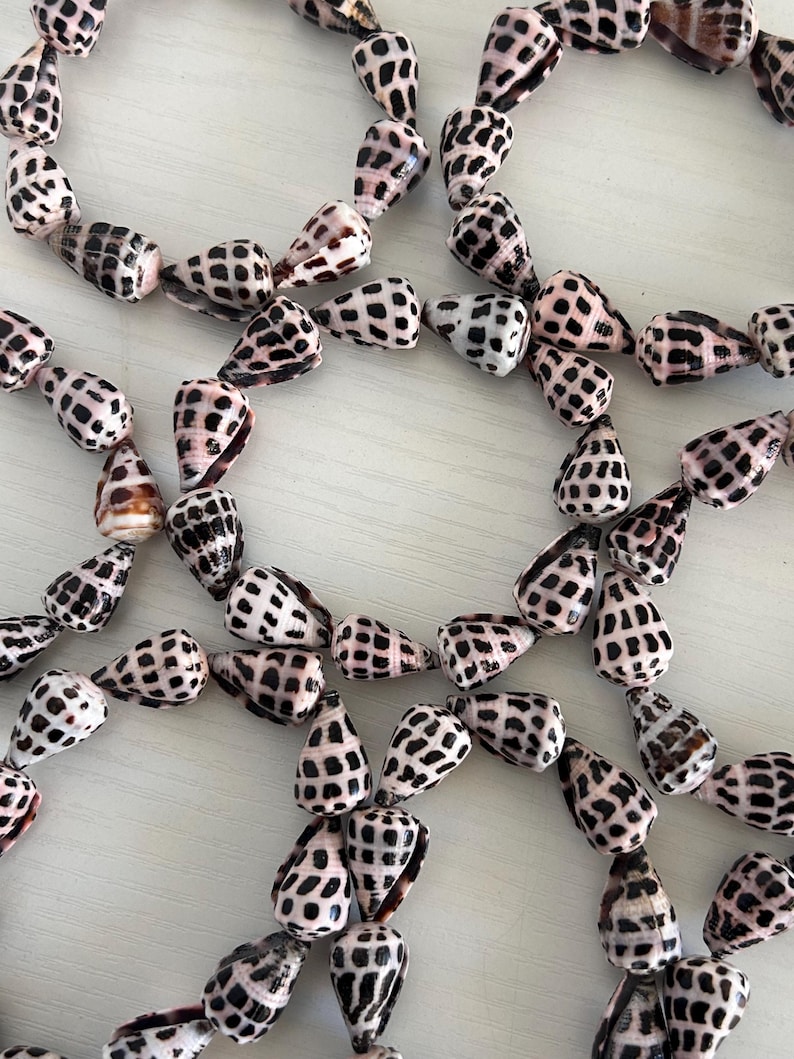 Peut inclure: Collier de coquillages naturels. Les coquillages sont blancs avec des taches noires et une teinte ros&eacute;e. Les colliers sont dispos&eacute;s en cercle, mettant en valeur les motifs et textures uniques des coquillages. Id&eacute;al pour les bijoux sur le th&egrave;me de la plage.