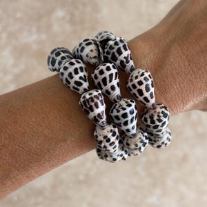 7” Hebrew Cone Shell stretch bracelet