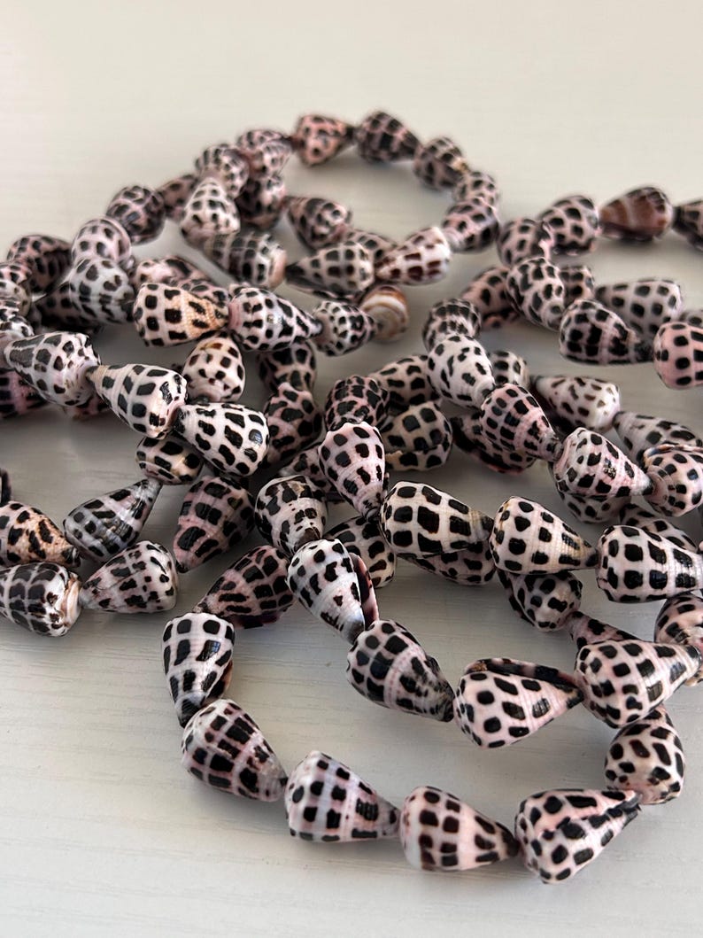 Peut inclure: Collier de coquillages naturels avec un motif tachet&eacute; noir et blanc. Les coquillages, de couleur beige ros&eacute; clair, sont enfil&eacute;s, sugg&eacute;rant un collier ou un bracelet.