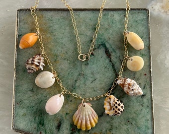16” 14k gold fill assorted Hawaiian shell charm necklace