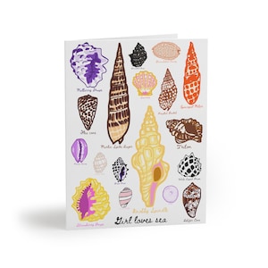 Juego de 8 tarjetas de felicitación en blanco con estampado original de conchas hawaianas para niña, ideal como regalo playero o papelería de cumpleaños.